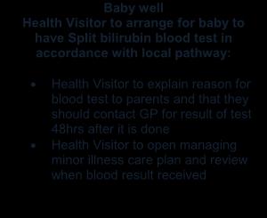 explain reason for blood test to parents and that they should contact GP for result of test 48hrs after it is done Health Visitor to open