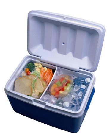 or passively protected with coolers or freezer
