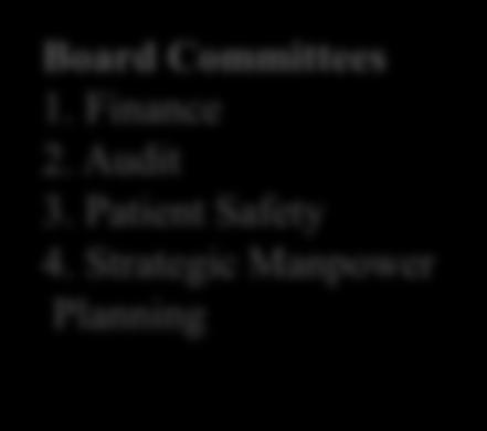 HSE Existing Governance Structure Board of Directors CEO Group Executive Council