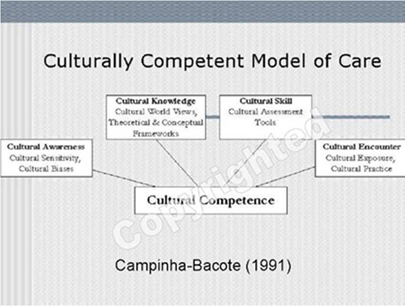 Figure 1. The Process of Cultural Competence in the Delivery of Healthcare Services. Figure 1. The Process of Cultural Competence in the Delivery of Healthcare Services. Copywrited by Campinha-Bacote, 1991, 1998, 2002, 2010.