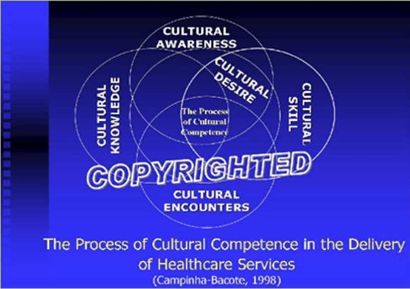 Figure 2. The Process of Cultural Competence in the Delivery of Healthcare Services. Figure 2. The Process of Cultural Competence in the Delivery of Healthcare Services. Copywrited by Campinha-Bacote, 1991, 1998, 2002, 2010.
