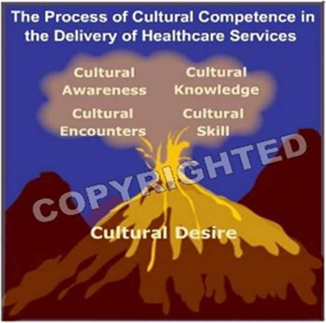 knowledge through education and experience, conducting culturally sensitive assessments, and being humble to the process of cultural awareness (Campinha-Bacote, 2002). Figure 3.