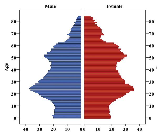 Fig. 2.1. Population structure of the Republic of Moldova, 2010 Source: NBS, 2011b.
