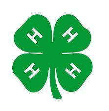 * June Dairy Day * Hewitt Hustlers 4-H Club & Fire Department Open House Sunday June 26 Noon to 3 p.m. Hewitt Town Hall H12399 County Rd Q ********************************************** Fun, Games, Food!