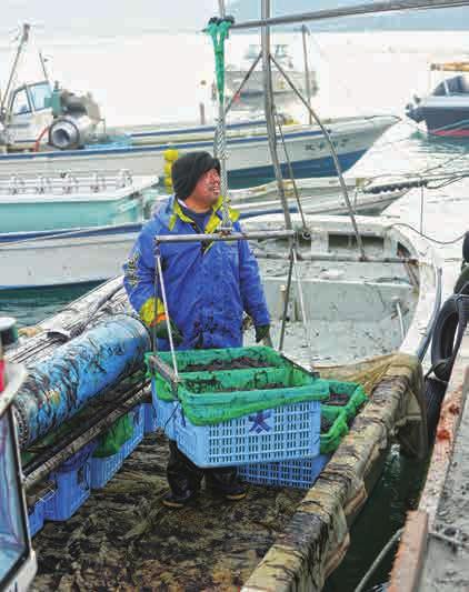 international donation Ishinomaki Fishery Cooperative Association s