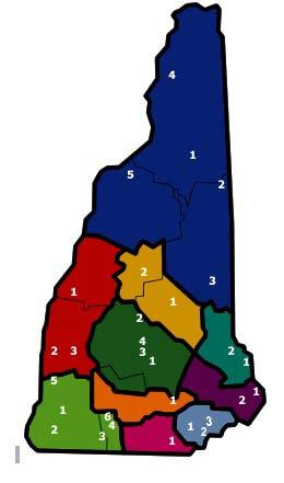 Appendix Figure 1: New Hampshire Community Mental Health Centers Key: Blue Red Light Green Pink Gray Northern Human Services West Central Behavioral Health Monadnock Family Services Greater Nashua