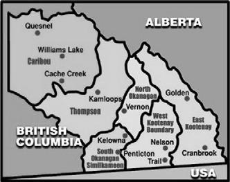 Telewound Pilot Project Launched in May 2004 Three sites chosen: Revelstoke, 100 Mile House and Kamloops Laptop and digital cameras for community nurses.