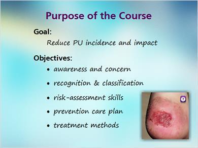 1.5 Purpose MARK: Okay, you have more than convinced me on why we need a pressure ulcers course! So what do we want this course to do?