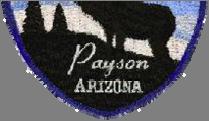 Mission Statement It is the mission of the Payson Police Department to provide the