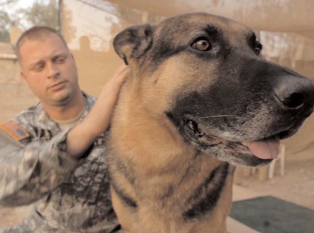 Page 18 Grey Wolf Aug. 20, 2007 'Man's Best Friend' Saves Lives in Diyala By Spc. Ryan Stroud 3rd BCT, 1st Cav. Div.