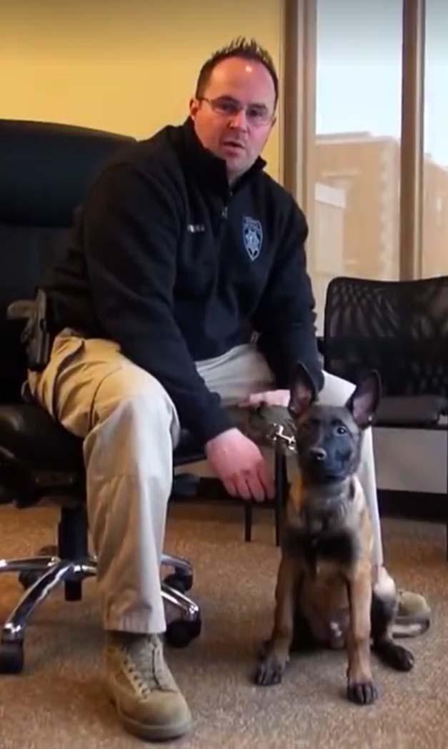 The Burlington County Sheriff s Department currently has a K9 in training for Patrol and