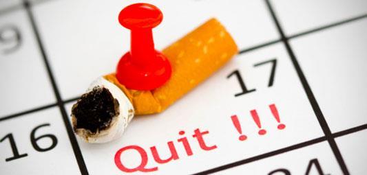 Tobacco / Smoking Cessation Programs All medical plans offer online