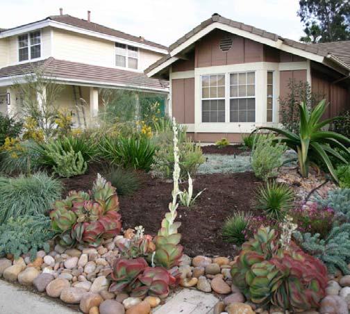 Initiative 1 - Promote the smart and sustainable use of water resources. o Provide incentives for drought-tolerant and low-water landscaping.