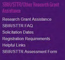SBIR/STTR Assessment Form at www.