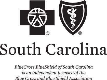 Blue Cross and Blue Shield of South Carolina Outline of