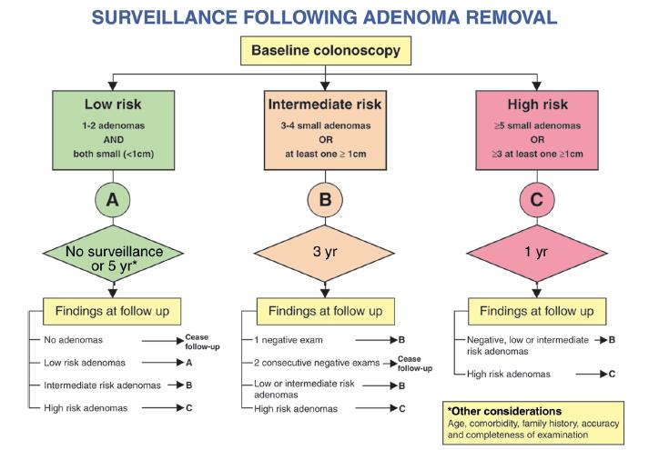 APPENDIX 3 APPENDIX 4 New BSG Guidelines (Eaden & Rutter, 2010) SCREENING COLONOSCOPY AT 10Y (preferably in remission, pan colonic dye spray) LOWER RISK Extensive colitis with NO ACTIVE inflammation