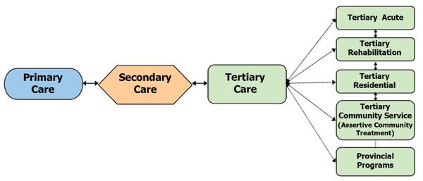 Tertiary Service Stream TERTIARY SERVICE STREAM Tertiary mental health services are specialized programs for individuals with complex mental health disorders that are often resistant to treatment and