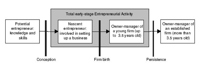GEM Entrepreneurial Phases GEM identifies different phases in the entrepreneurial process.