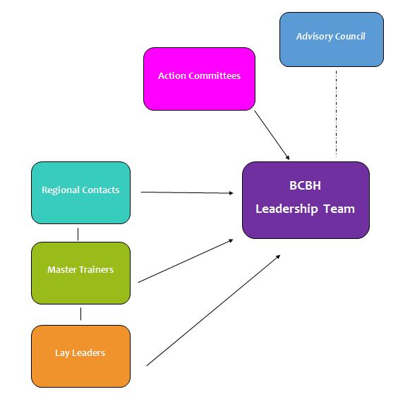 New BCBH Structure BCBH Network Mission - promote expansion, implementation, coordination, and sustainability of a quality chronic disease self-management program statewide.