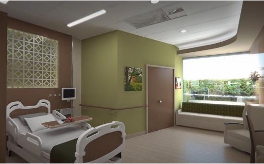 Organization Information: Health Quest Vassar Brothers Medical Center, Poughkeepsie, NY 385 Acute Beds