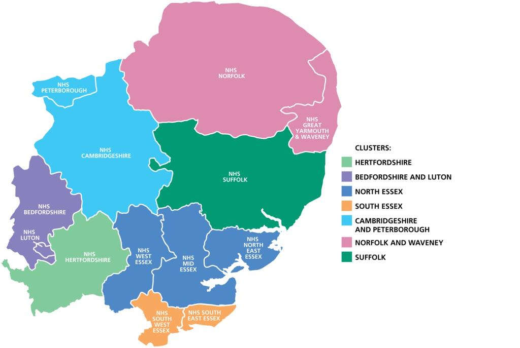 East of England Respiratory Network Annual Report 2011-2012 The East of England Respiratory Network is one of ten regional groups funded by the Department of Health to oversee the development of