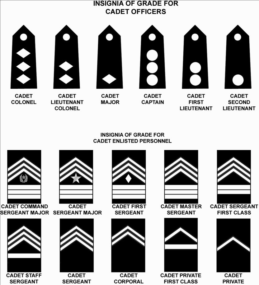 23 Drill Sequence Movements/Commands 1. FALL IN 2. Dress Right, DRESS (Checks for exact alignment) 3. Ready, FRONT (Ensures Platoon is Covered) 4. Present, ARMS 5. Order, ARMS 6. Left, FACE 7.