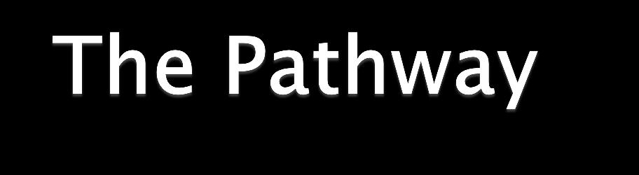 Where will the pathway be implemented? The pathway admission will begin on the children s assessment unit.