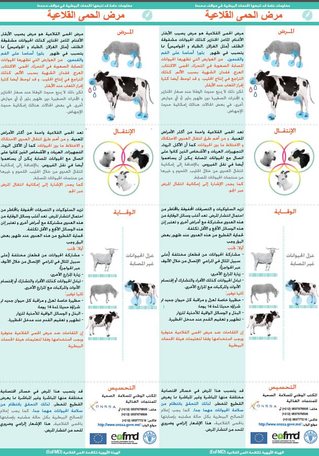 Support to awareness campaigns Morocco/Algeria/Tunisia: a leaflet has been produced in