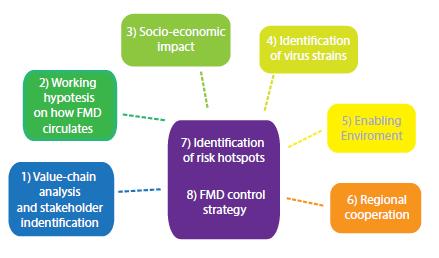 EuFMD workplan 2015 1. Start with understanding epidemiology of FMD, and what the impact is (PCP Stage 1) 2.
