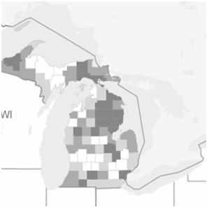 Detroit is a Primary Care Desert 500,000 (65%) of Detroiters live in a MUA 300,000 below the poverty line Wayne County Rank (of 82) Health Outcomes 81 Mortality, i.e. premature death 80 Morbidity, e.