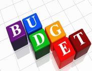 (Federal) Budget Process Budget Formulation Budget Presentation/Congressional Action Budget Execution 9 Significant Budget Actions Between the 1st Monday in January and the 1st Monday in February Six