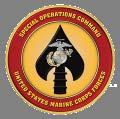 U.S. SPECIAL OPERATIONS Task Organization CHIEF OF NAVAL OPERATIONS SPECIAL OPERATIONS COMMAND (SOCOM) NAVAL SPECIAL WARFARE COMMAND