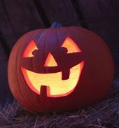 Jack o lanterns (carved pumpkins, skeletons, ghosts, spider