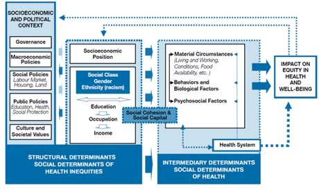 Implement Health in All Policies Approach with Health Equity as a Goal Commission on Social Determinants of Health. (2010). A conceptual framework for action on the social determinants of health.