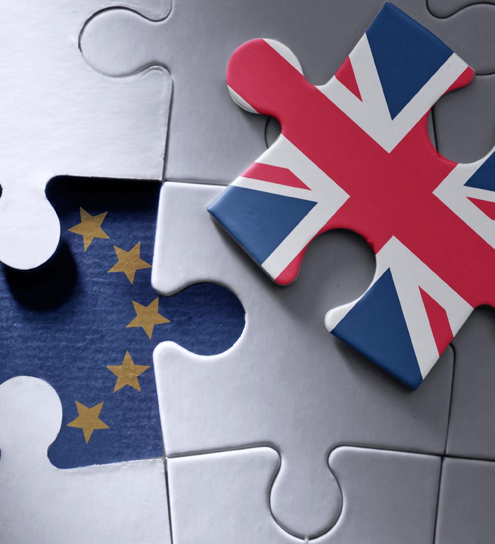 International Regulatory Affairs MSD, United Aimad Torqui Director, Global Regulatory Policy MSD, The Netherlands Brexit will have a considerable impact on the regulation and supply of medicines to