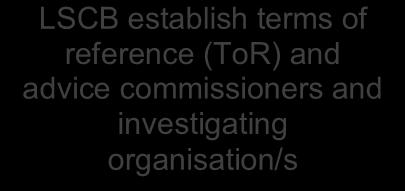 required LSCB establish terms of reference (ToR) and