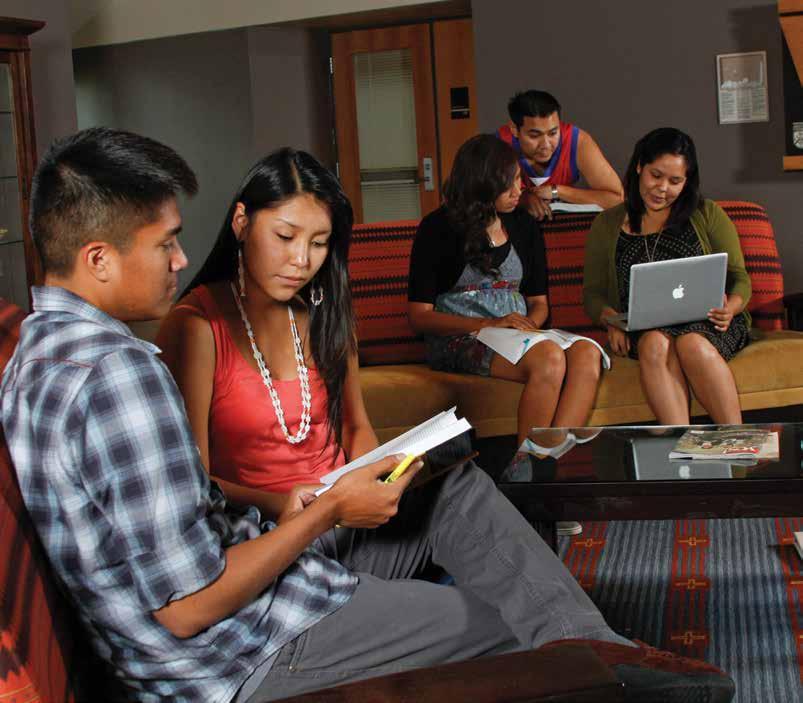 NAU s aspiration to be the nation s leading university in serving Native Americans is backed by strong programs.