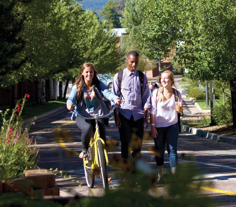 38 The Campaign for NAU, the largest fundraising effort in the university s history, has a goal of $100