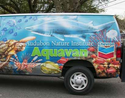 For more than 35 years, Chevron has partnered with Audubon on a range of projects at Audubon Zoo, Audubon Louisiana Nature Center, and Audubon Park.