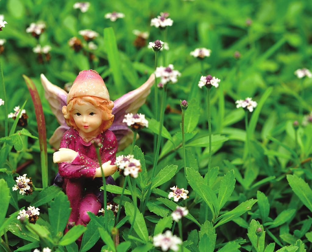 Conference Details: February 9, 2018 2:15 3:15 pm Closing General Session Faerie Gardens Did you know faerie gardens first debuted in the U.S. in 1893?