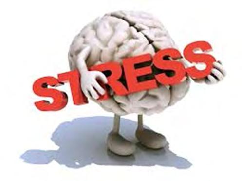 concepts of stress Negative