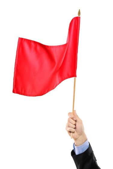 Management of Red Flags Defined as: clinical issues that could progress and require a higher level of intervention, PCP visits prior to and immediately after ED/hospital visits, Assessing Care of