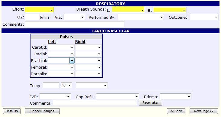 Page 4 - Respiratory/Cardiovascular Hi-Lighted fields are required. Fill in fields with your initial assessment findings of the patients Respiratory and Cardiovascular systems.