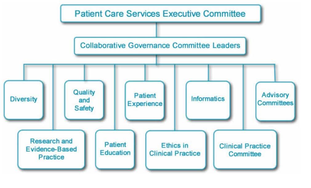 Collaborative Governance Collaborative governance is a critical element within the Professional Practice Model that describes
