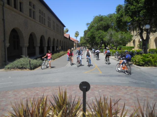 Most Stanford students own a bike, a trend that makes the