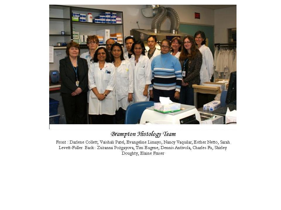 Page 7 Future is bright for Histology at Gamma-Dynacare Medical Laboratories Page 7 The combination of state-of-the art equipment, expanded laboratory space and a department of dedicated staff are