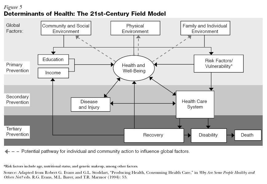 The 21st Century Field Model Source: Ratzan, S. Filerman, G.