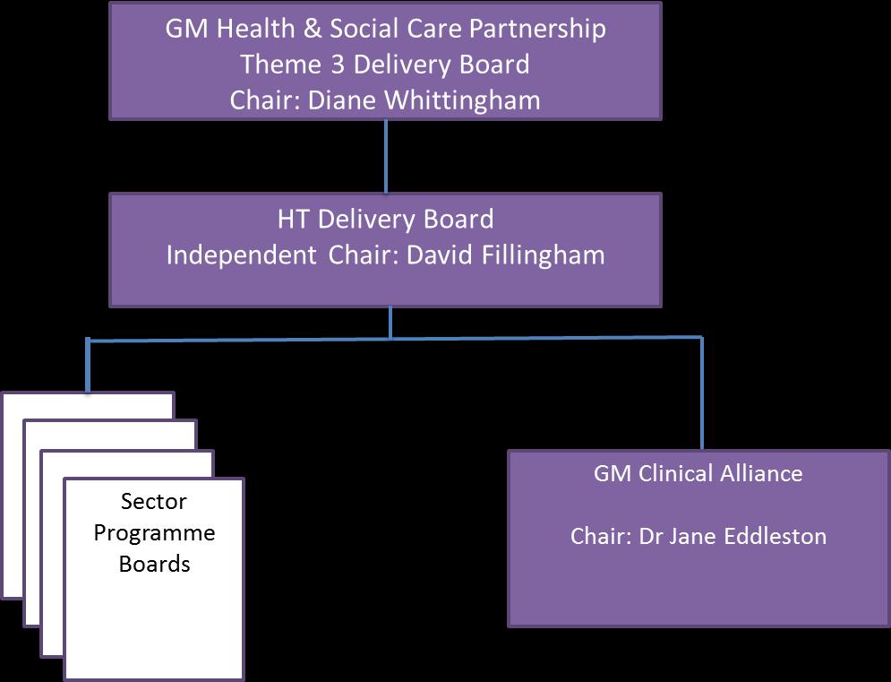 6 Management case The following section describes the management of the programme, including programme governance; team management structure; resourcing and roles and responsibilities; programme