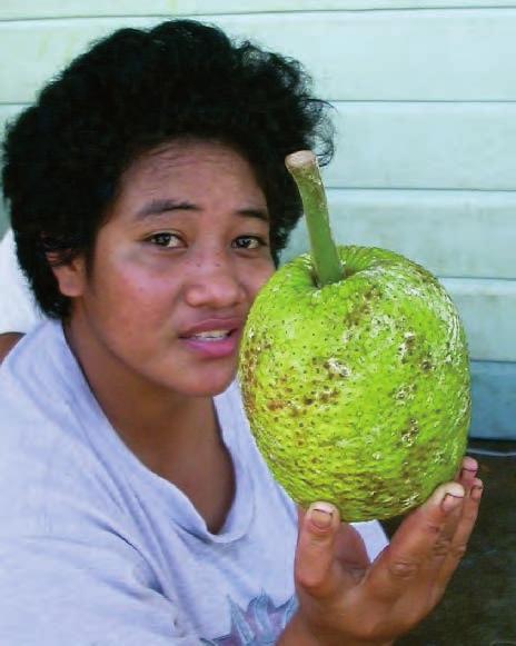 In the horticultural sector, PEP-Pacific completed a five stage project for Nature s Way Cooperative Fiji Limited aimed at expanding breadfruit exports to New Zealand which has a large Pacific
