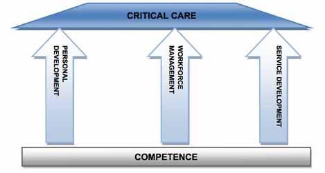 How should the competencies be used? The competencies are designed to be a multi-purpose tool that will underpin the provision of high quality, individualised patient care.